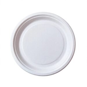 Bagasse Plate 10" Plain