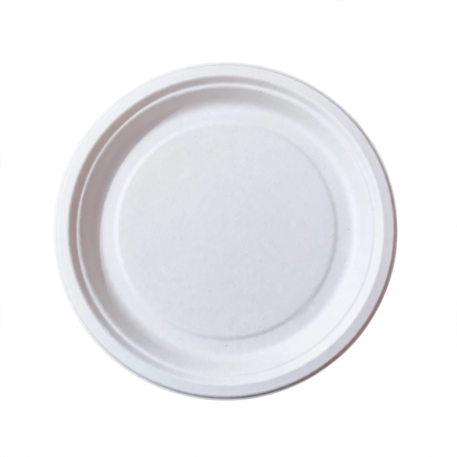 Bagasse Plate 10" Plain