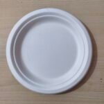 Bagasse Plate 10" Plain