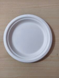 Bagasse Plate 10" Plain