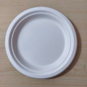 Bagasse Plate 9"