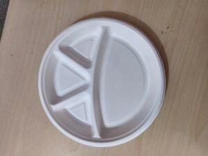 Bagasse Plate 11"4cp