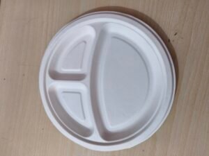 Bagasse plate 10" 3cp